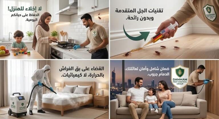 مكافحه الحشرات بالدمام